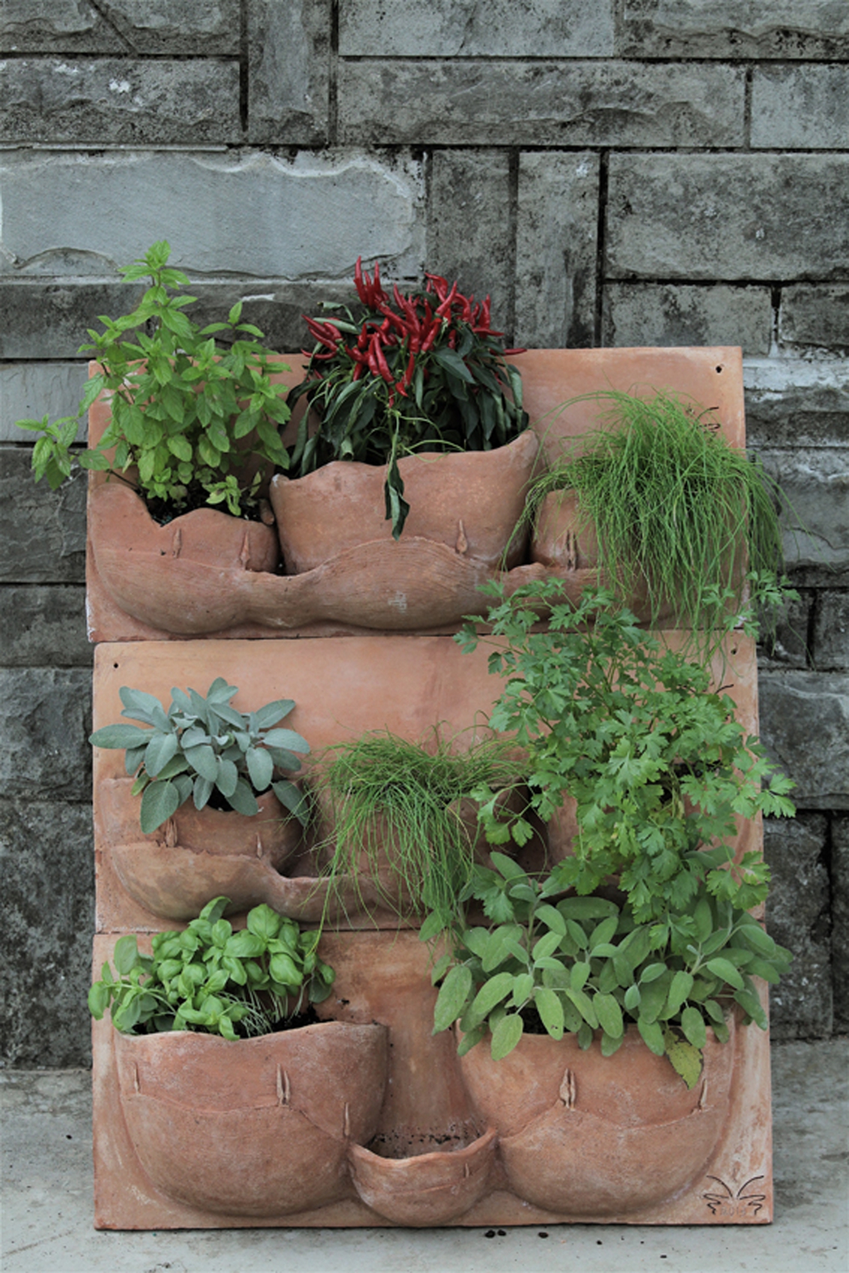 Vertical garden: a touch of style